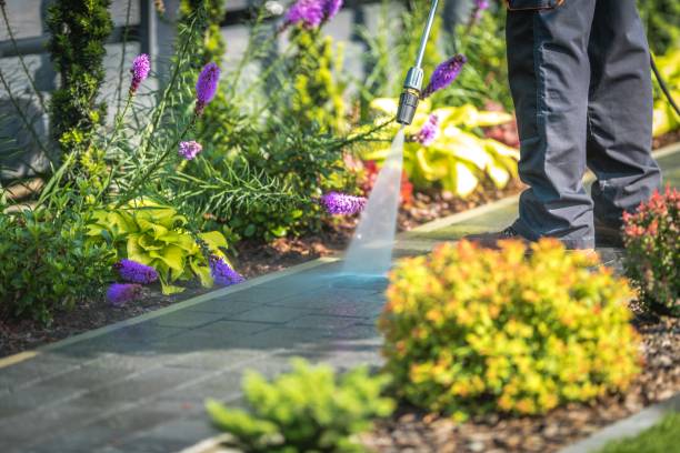 Best House Exterior Washing  in Nescopeck, PA